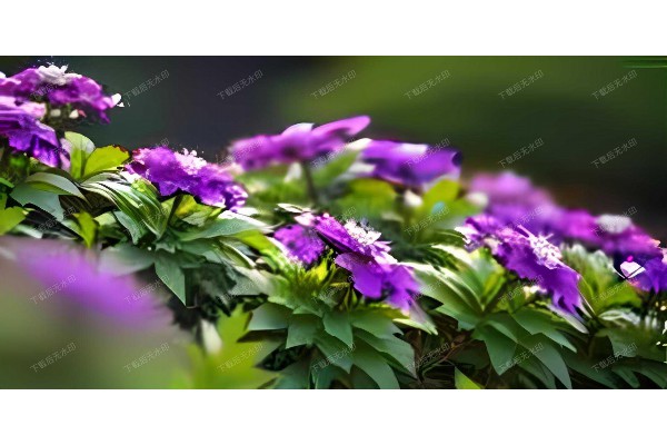 武汉SPA桑拿，享受极致放松时光！